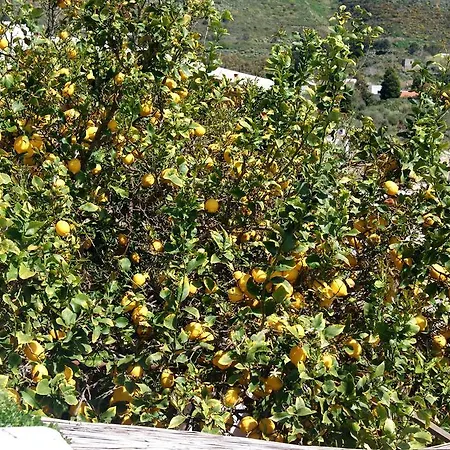 Agriturismo Tivoli Bed & Breakfast 3*
